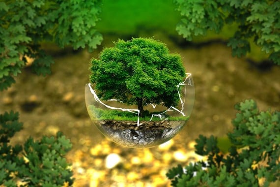 environmental-protection-326923_1920_Medium.jpeg